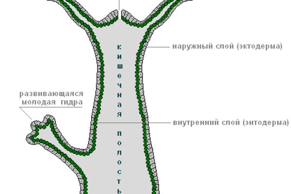 Как выйти на кракен