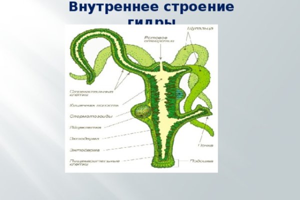 Реальная ссылка кракен