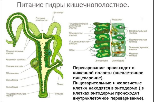 Кракен маркетплейс что это